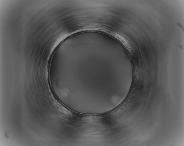 X0000091480950200708231357