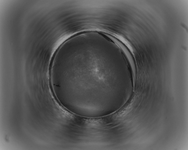 X0000091480951200708231357