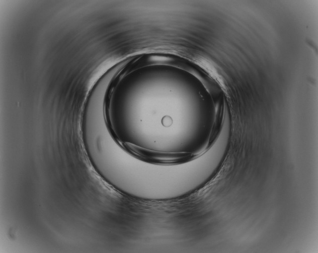 X0000091480952200708231357