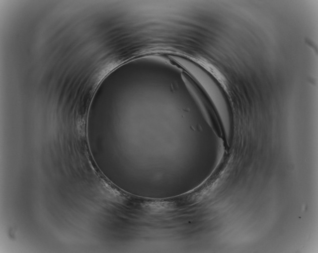 X0000091480953200708231357