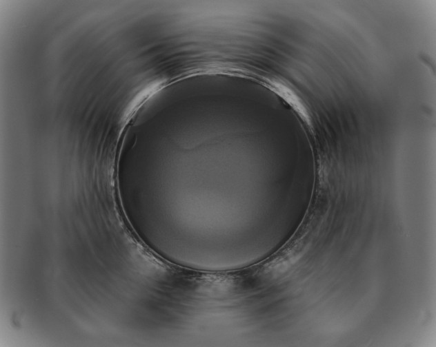 X0000091480954200708231357