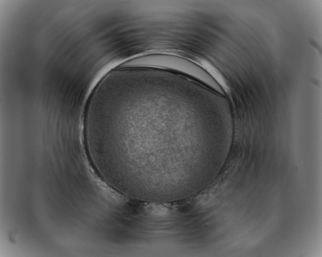 X0000091480955200708231357