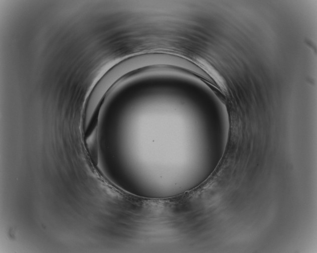 X0000091480956200708231357