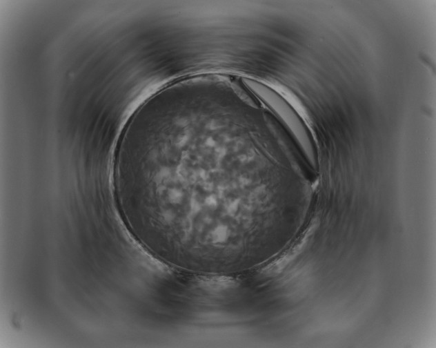 X0000091480957200708231357