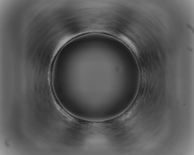 X0000091480958200708231357