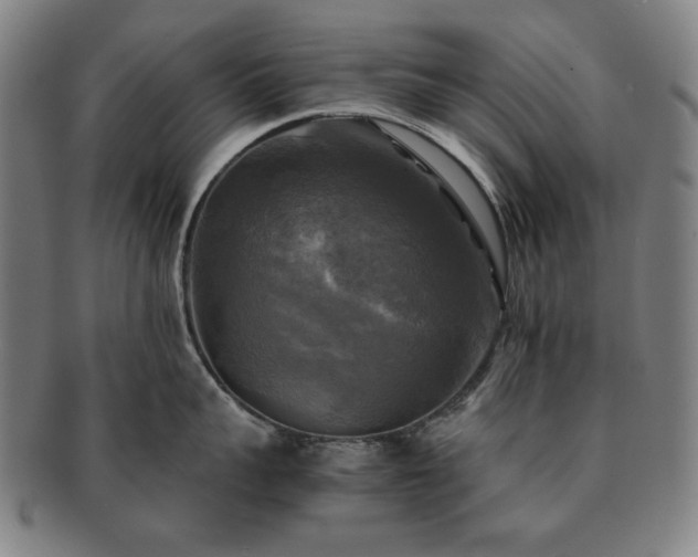 X0000091480959200708231358