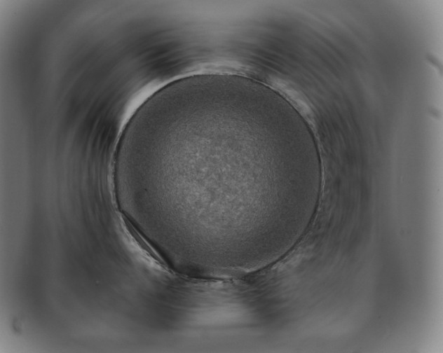 X0000091480960200708231358