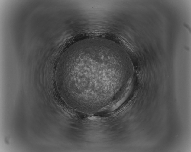 X0000091480961200708231357