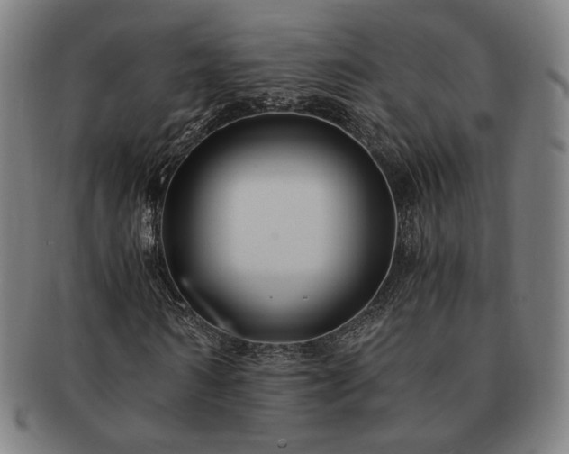 X0000091480962200708231357