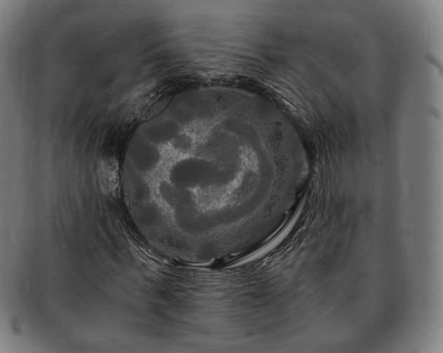 X0000091480963200708231357