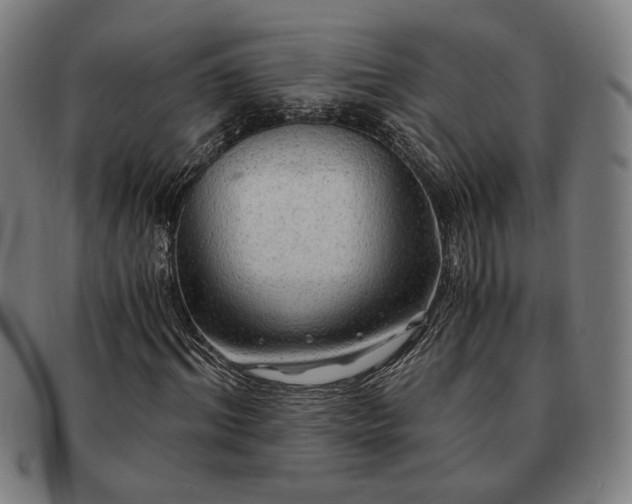 X0000091480964200708231357