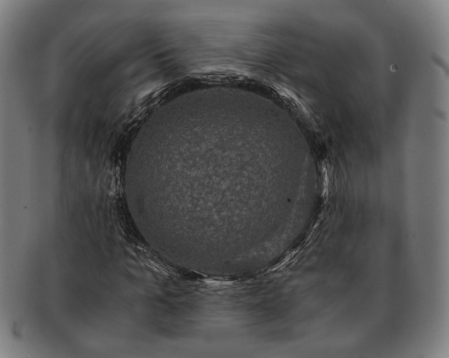 X0000091480965200708231357