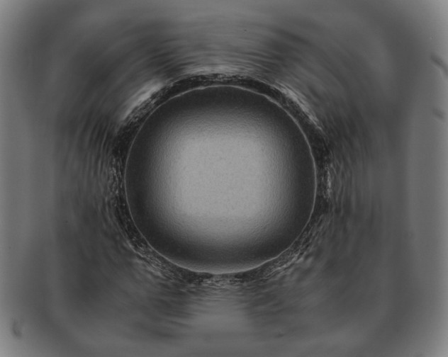 X0000091480967200708231357