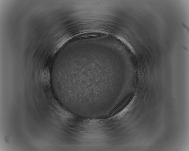 X0000091480969200708231357