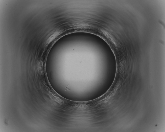 X0000091480970200708231357