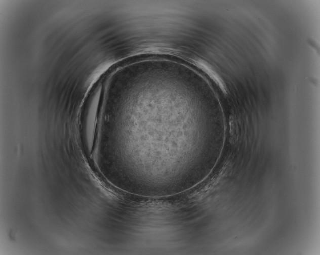 X0000091480972200708231357