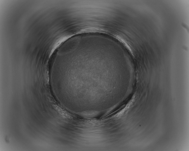 X0000091480973200708231357