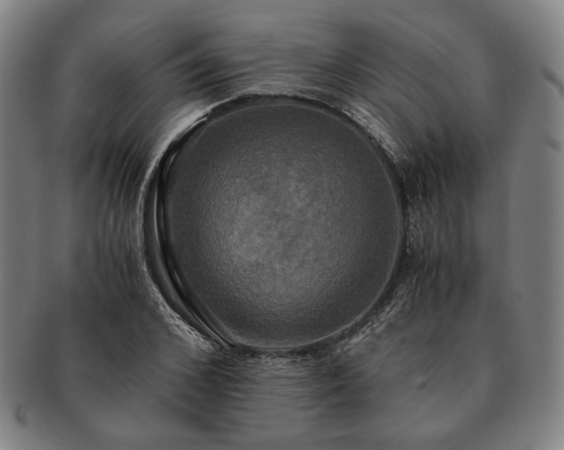 X0000091480976200708231357