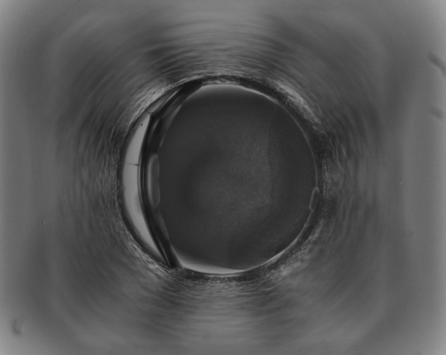 X0000091480977200708231357