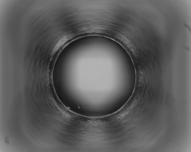 X0000091480978200708231357