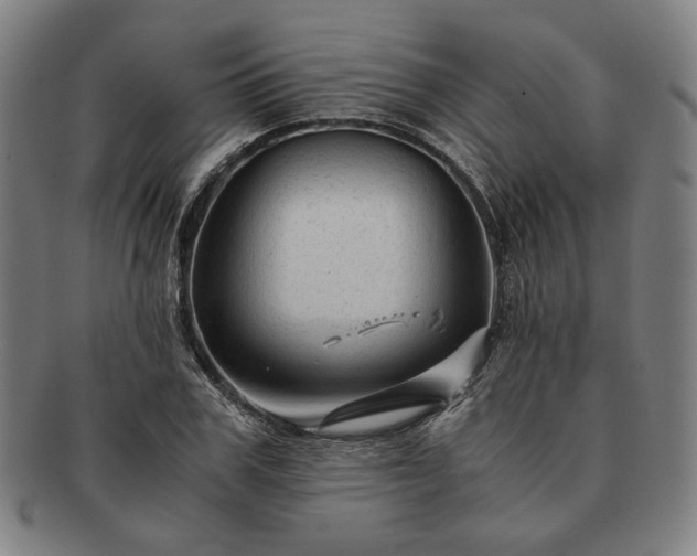 X0000091480979200708231357