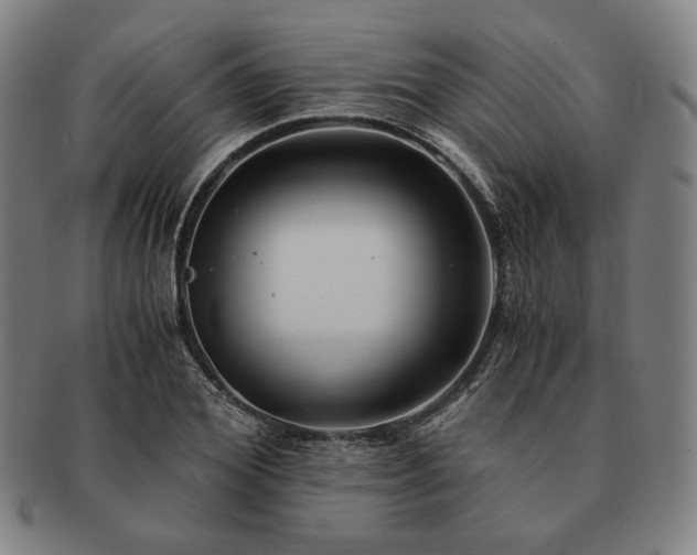 X0000091480980200708231357