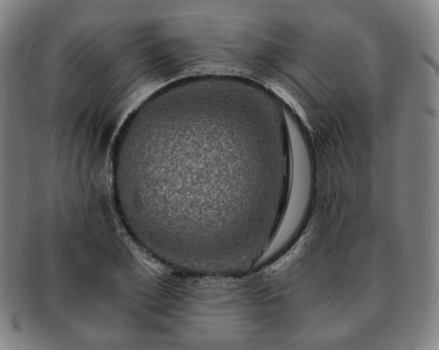 X0000091480981200708231357