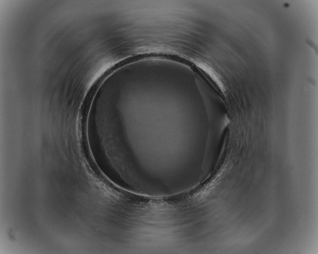 X0000091480983200708231357