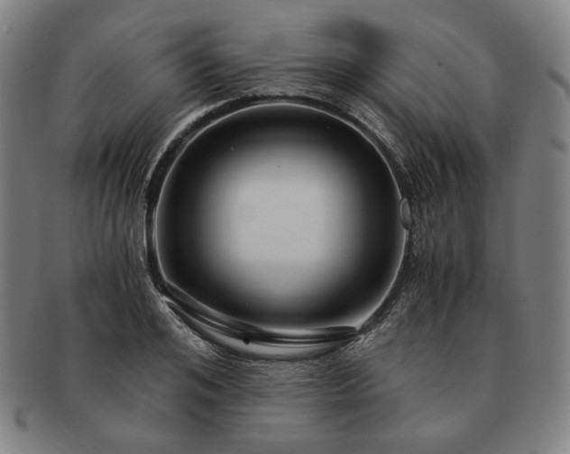 X0000091480984200708231357