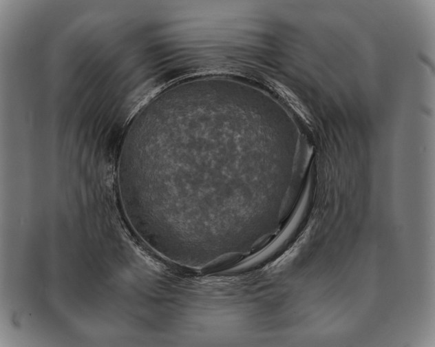 X0000091480985200708231357