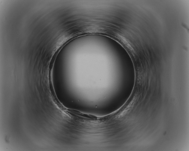 X0000091480986200708231357