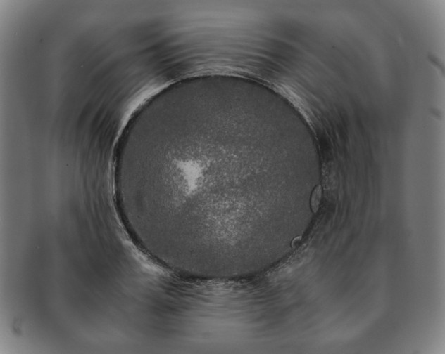 X0000091480987200708231357