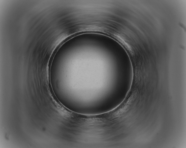 X0000091480988200708231357