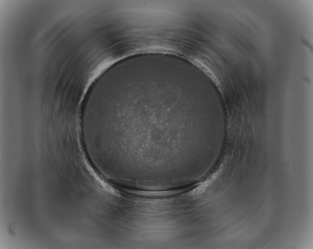 X0000091480989200708231356