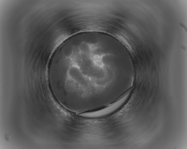 X0000091480990200708231356