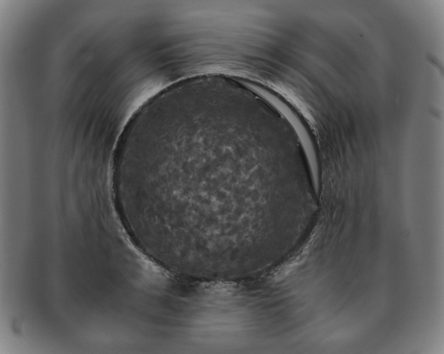 X0000091480991200708231356