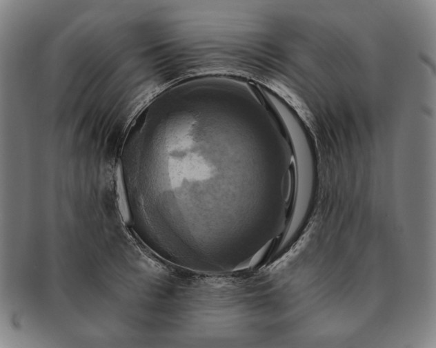 X0000091480993200708231356