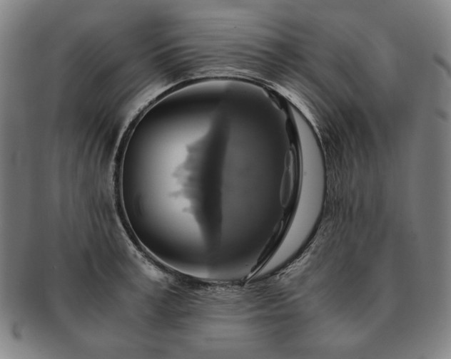 X0000091480995200708231356