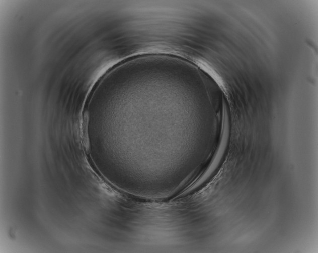 X0000091480996200708231356