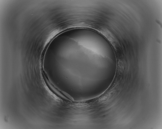 X0000091480998200708231356