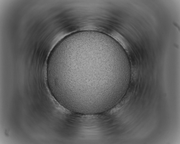 X0000091481000200708231356