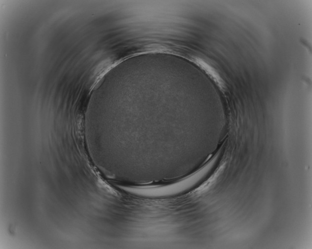 X0000091481001200708231356