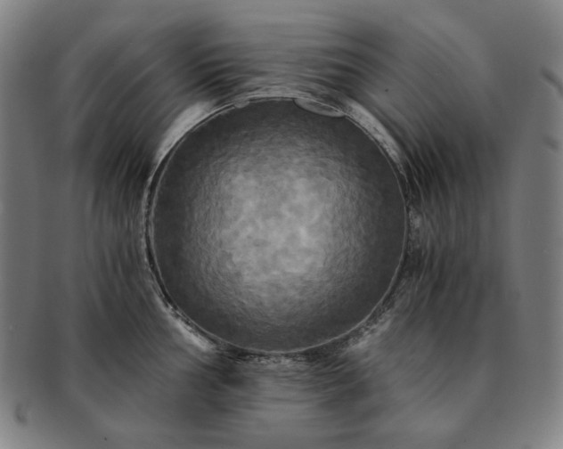 X0000091481002200708231356