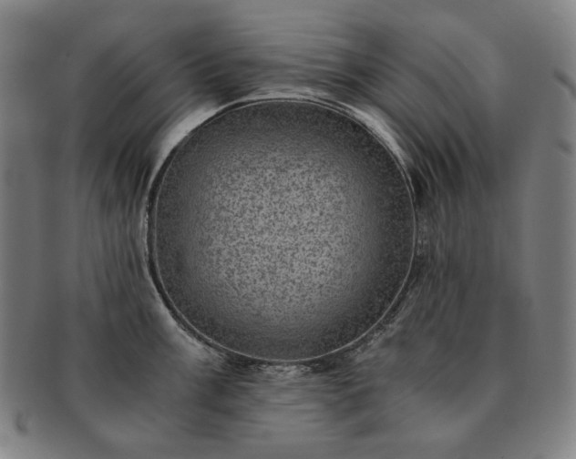 X0000091481003200708231356