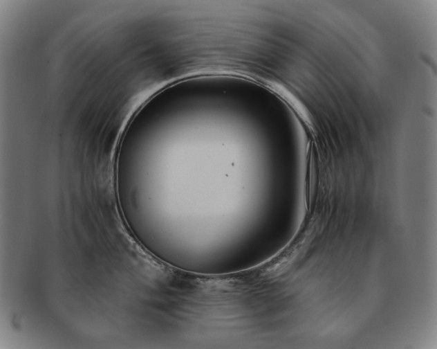 X0000091481004200708231356