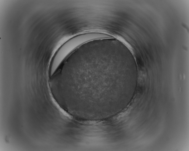 X0000091481005200708231356