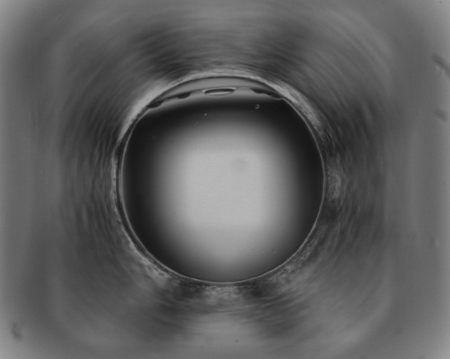 X0000091481006200708231356