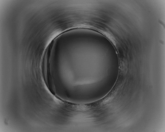 X0000091481007200708231356