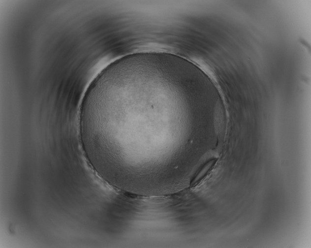 X0000091481008200708231356