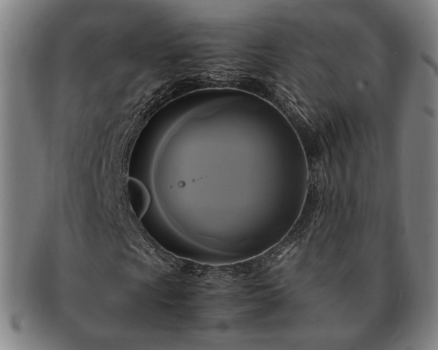 X0000091481009200708231356